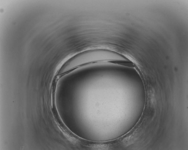 X0000063491127200601271713