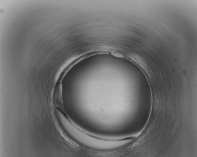 X0000063491128200601271713