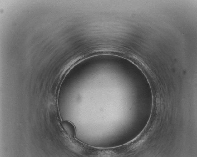 X0000063491129200601271713