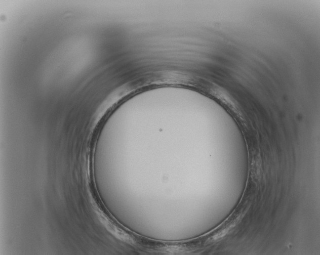 X0000063491130200601271713