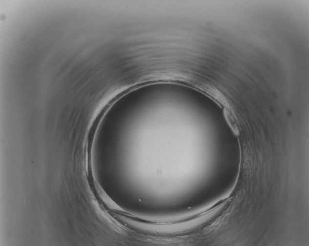 X0000063491132200601271713