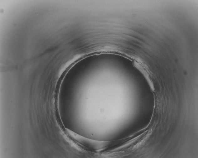 X0000063491134200601271713