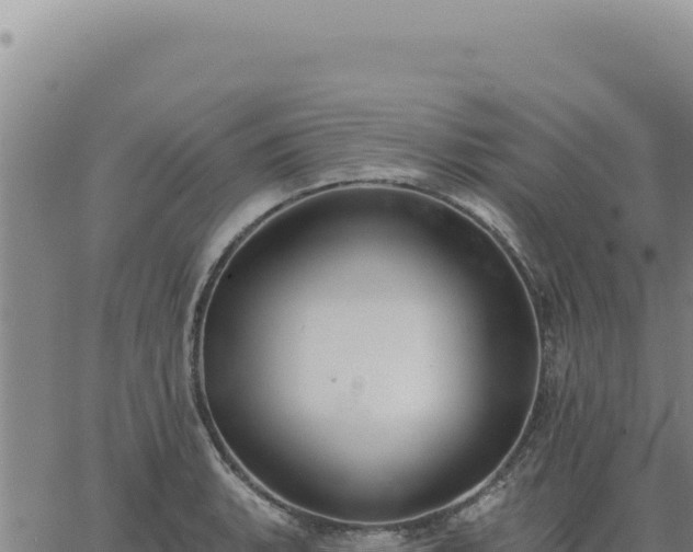 X0000063491135200601271713