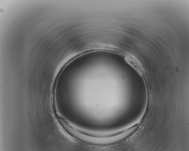 X0000063491136200601271713