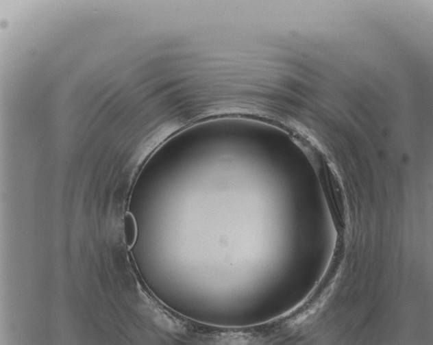 X0000063491137200601271713