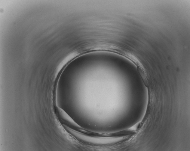 X0000063491138200601271713