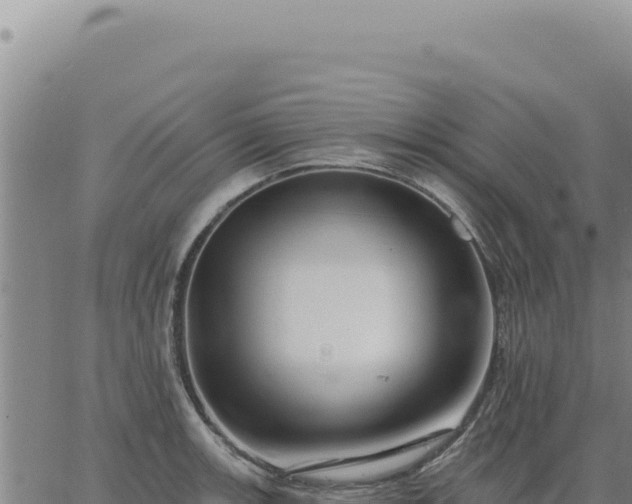 X0000063491139200601271713