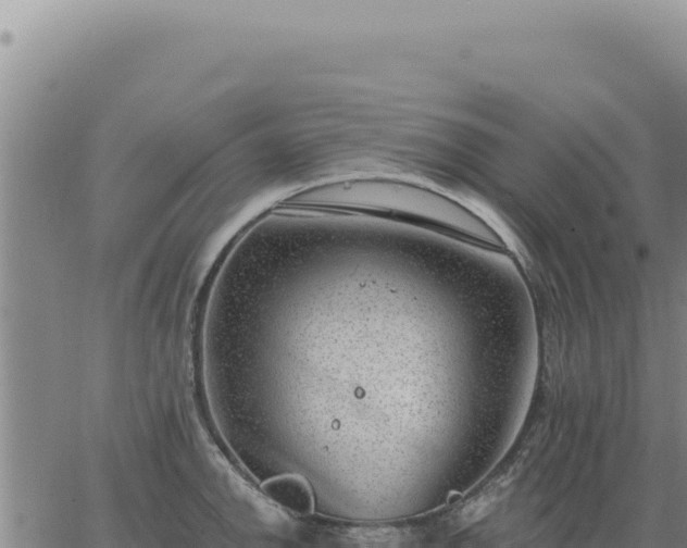 X0000063491142200601271713