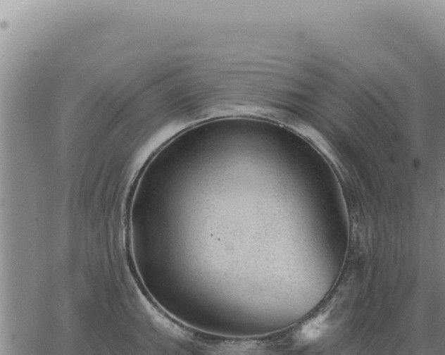 X0000063491143200601271713