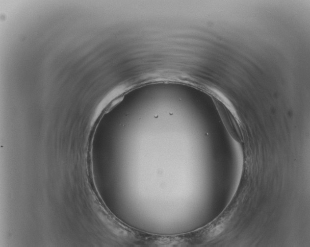 X0000063491146200601271713