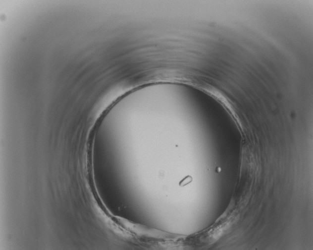 X0000063491147200601271713