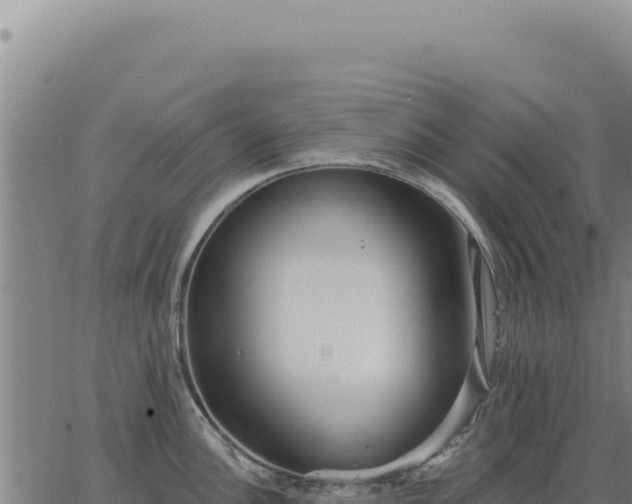 X0000063491148200601271713