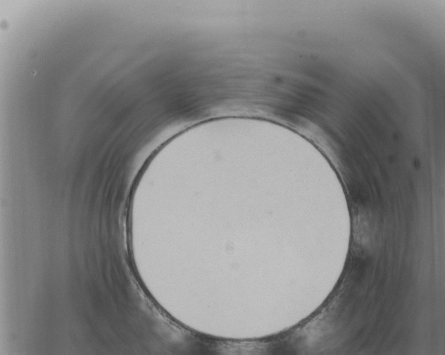 X0000063491150200601271713