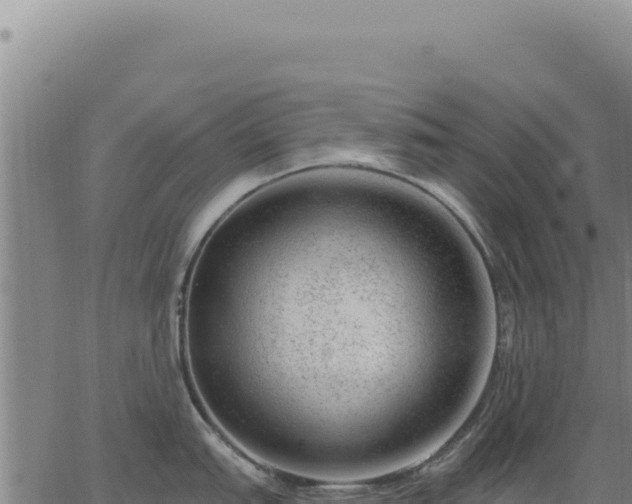 X0000063491151200601271713