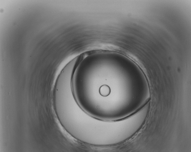 X0000063491152200601271713