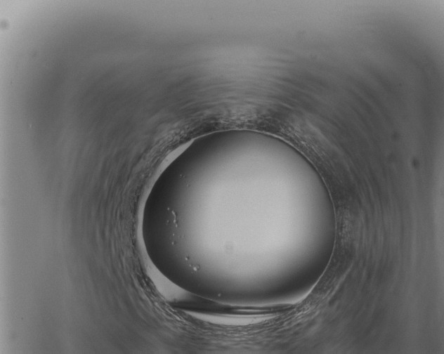 X0000063491153200601271713