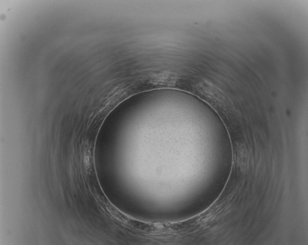 X0000063491154200601271713