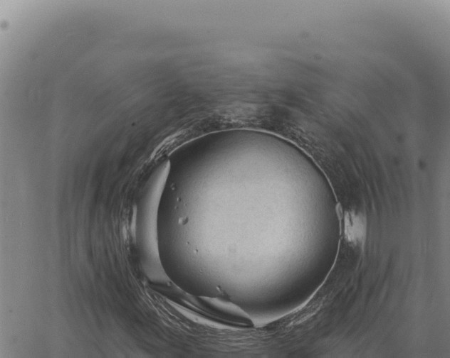 X0000063491155200601271713