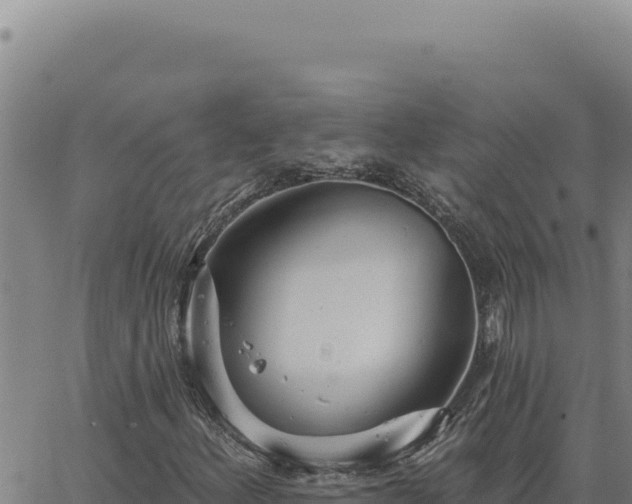 X0000063491156200601271713