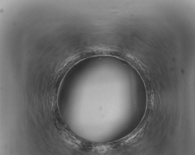 X0000063491157200601271713