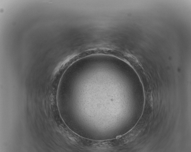 X0000063491159200601271713