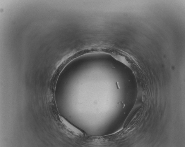 X0000063491160200601271713