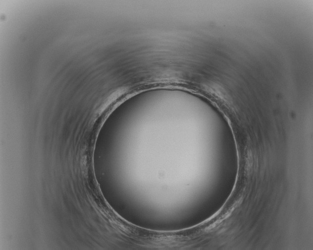 X0000063491162200601271713