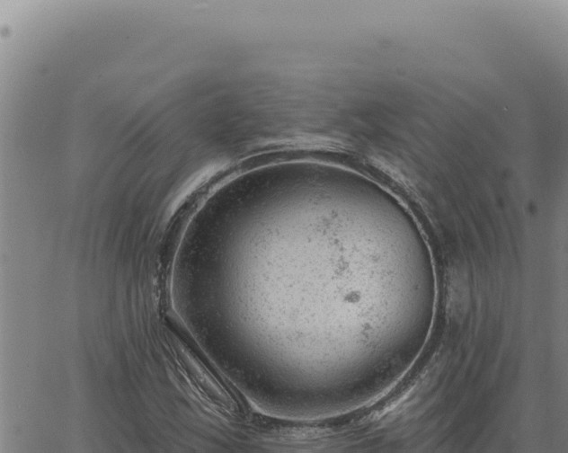 X0000063491163200601271713