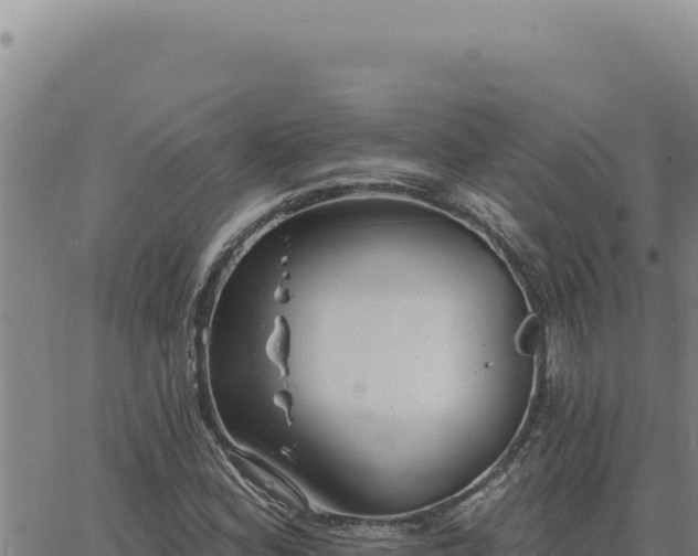 X0000063491164200601271713