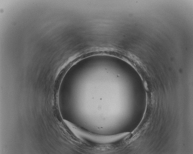 X0000063491165200601271712