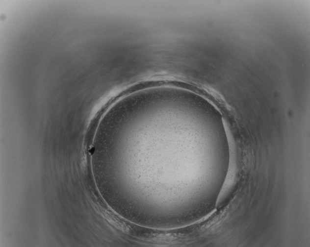 X0000063491167200601271712