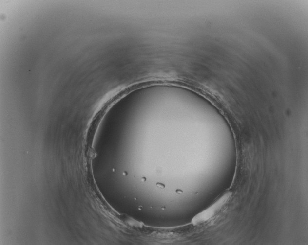 X0000063491168200601271712