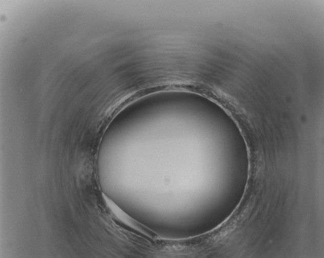 X0000063491169200601271712