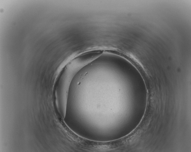 X0000063491173200601271712