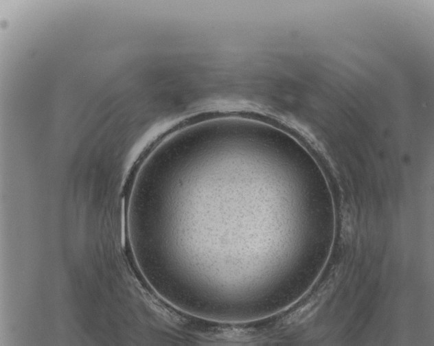 X0000063491175200601271712