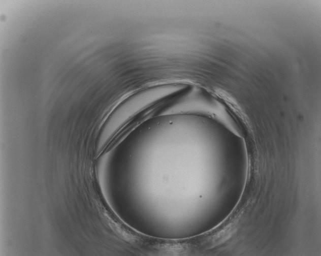 X0000063491177200601271712