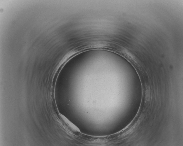 X0000063491178200601271712