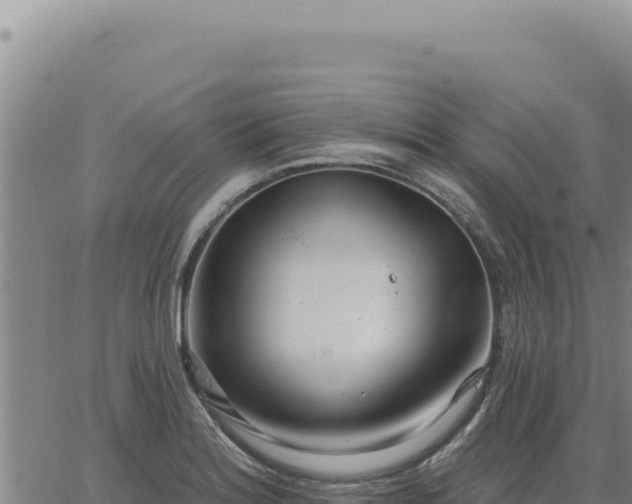 X0000063491180200601271712