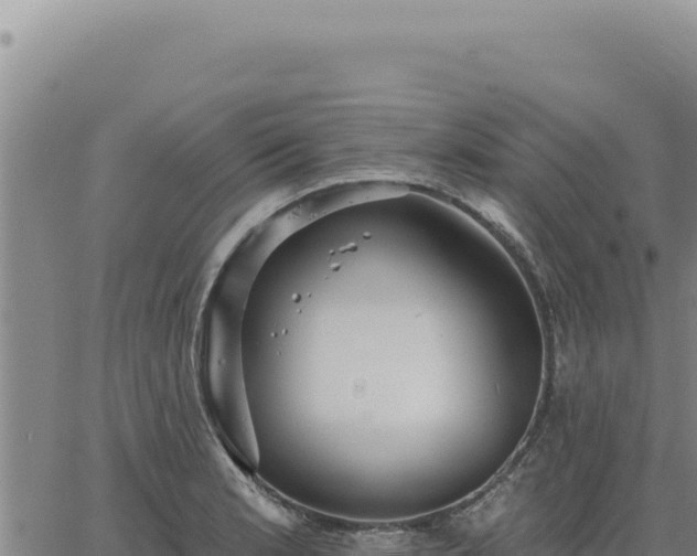 X0000063491181200601271712