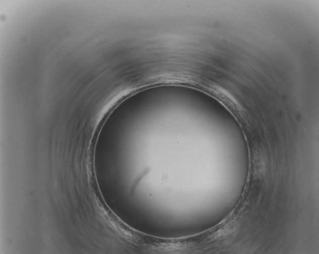 X0000063491182200601271712