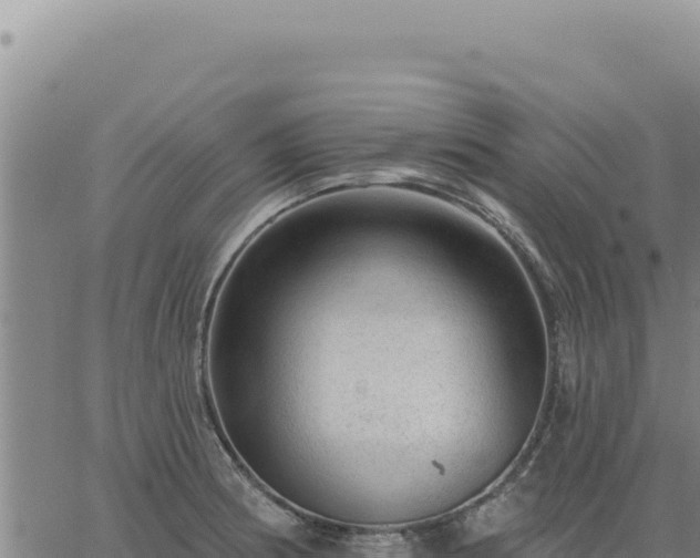 X0000063491186200601271712