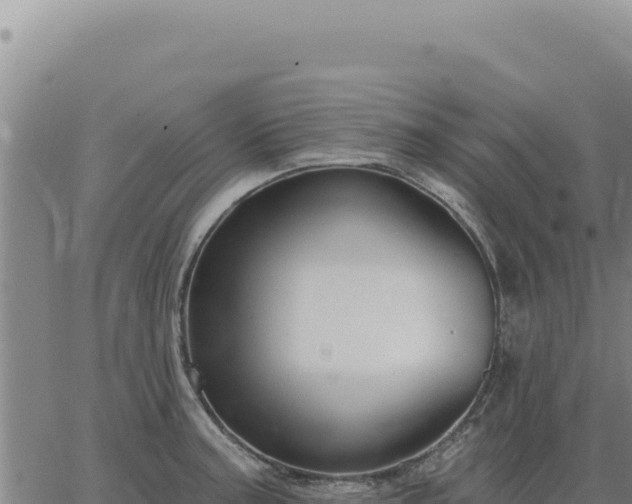 X0000063491187200601271712