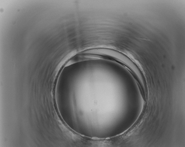 X0000063491189200601271712