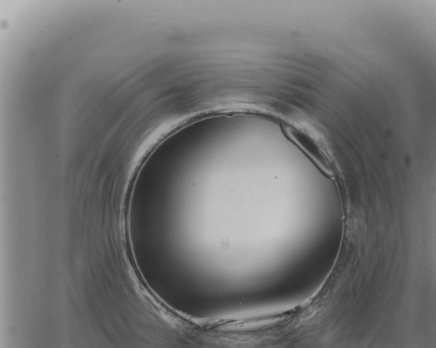 X0000063491191200601271712