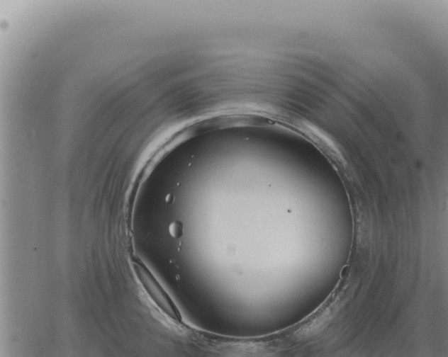 X0000063491192200601271712