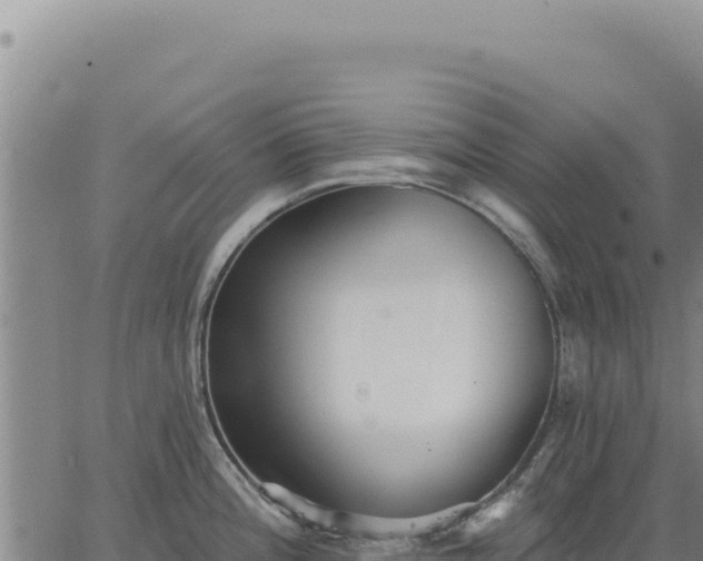 X0000063491196200601271712