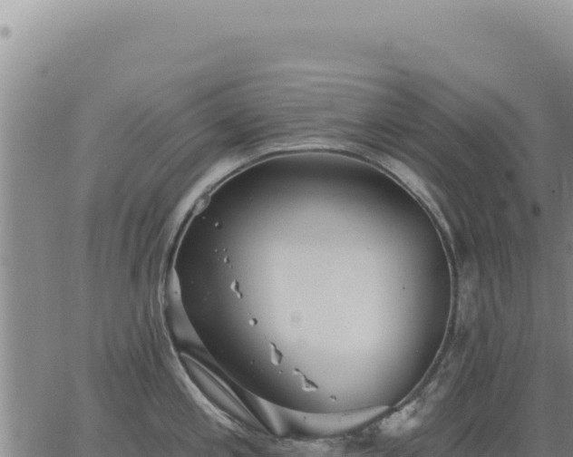 X0000063491197200601271712