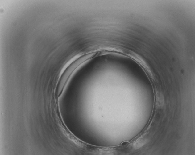 X0000063491198200601271712