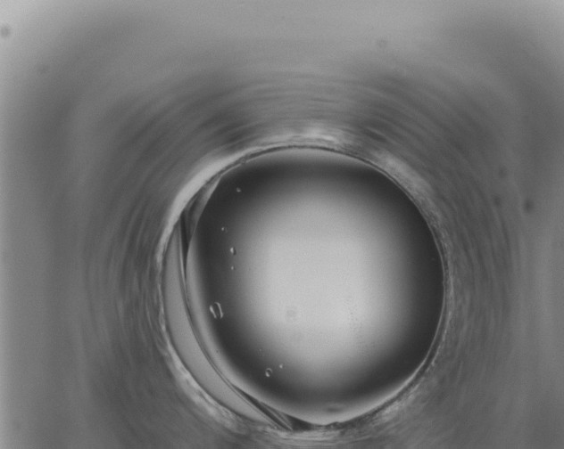 X0000063491200200601271712