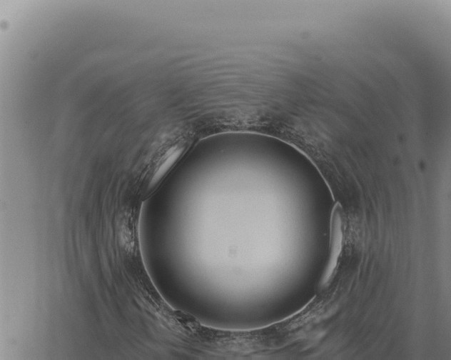 X0000063491202200601271711